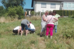 IMG_20190707_093106_1