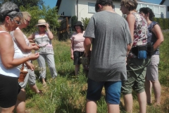 IMG_20190707_093106_2