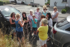 IMG_20190721_095718_3
