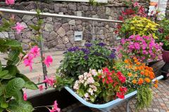 IMG-20250923-WA0012