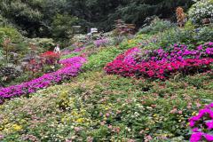 IMG-20250923-WA0013