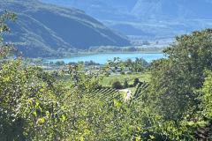 IMG-20250923-WA0023