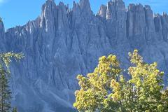 IMG-20250923-WA0042