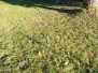 Wassertretanlage - Herbst 2021